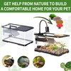(Tank + Light +Pump + Filter + Filter Balls) Turtle