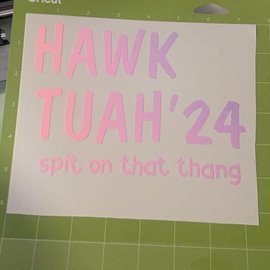 Hawk Tuah Sticker - Color: Mint