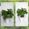 Goooxim 5PCS 11 * 9.4 Inch Monstera Plant Support Stem