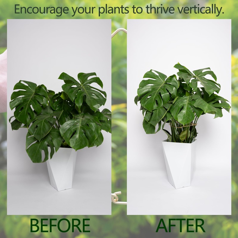 Goooxim 5PCS 11 * 9.4 Inch Monstera Plant Support Stem