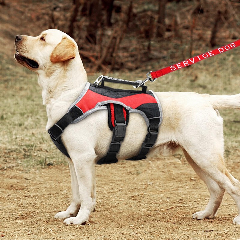 YeeBeny Service Dog Leash, Emotional Support Leash with Neoprene Handle