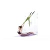 AERIAL Columpio Para Yoga Aereo Antigravedad Entrenamiento Puerta