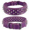 BTDCFY Hoot PU Leather Adjustable Spiked Studded Dog Collar 2"