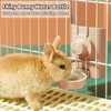 Fhiny Rabbit Water Bottle No Drip, 2 PCS Hanging Guinea