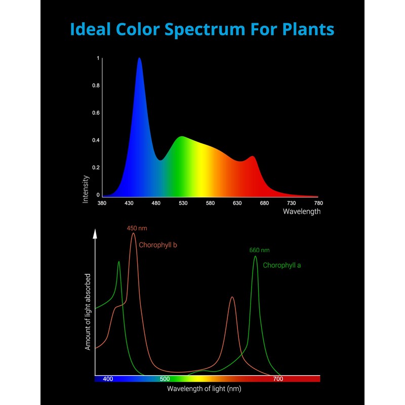 NICREW ClassicLED Plus LED Aquarium Light with Timer, 27 Watts,