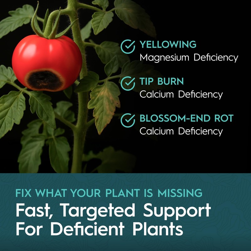 Drip Hydro CaMg 2.5 Gallon | High-Concentration Calcium and Magnesium