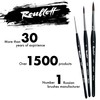 Roubloff Pack of 3 Professional Brush Set in Sizes 1-3-5
