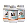 dog vitamins for hip and joint - DOG HIP AND