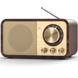 Tendak FM Radio with Best Reception, Portable Transistor Radio with 5W Speaker, Rechargeable Vintage Radios for Home Outdoor, Support TF Card Play, USB MP3 Player, AUX, Bass Mode