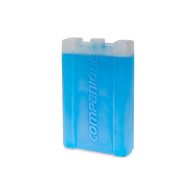 Companion Ice Brick, Large, 750 ml