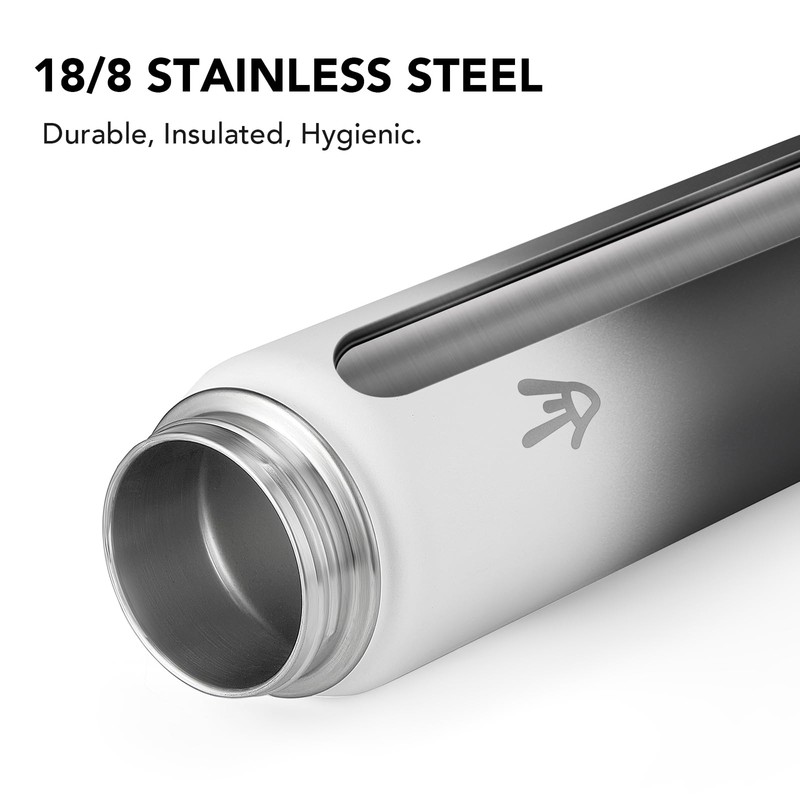 Enerbone 32 oz Insulated Water Bottle, Stainless Steel Bottle with
