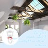 Hotop 2 Pcs Ceiling Hooks for Hanging Plants Swag Plant