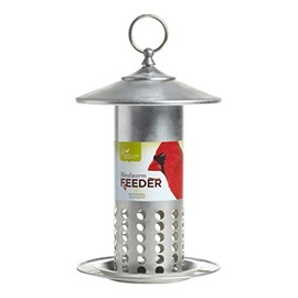 Pacific Bird and Supply PB-0037 Galvanized Mealworm Feeder, 6.25" x 6.25" x 11.25", Silver