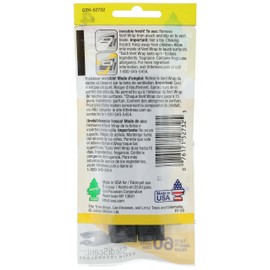 LITTLE TREES CTK-52732-24: Vanillaroma