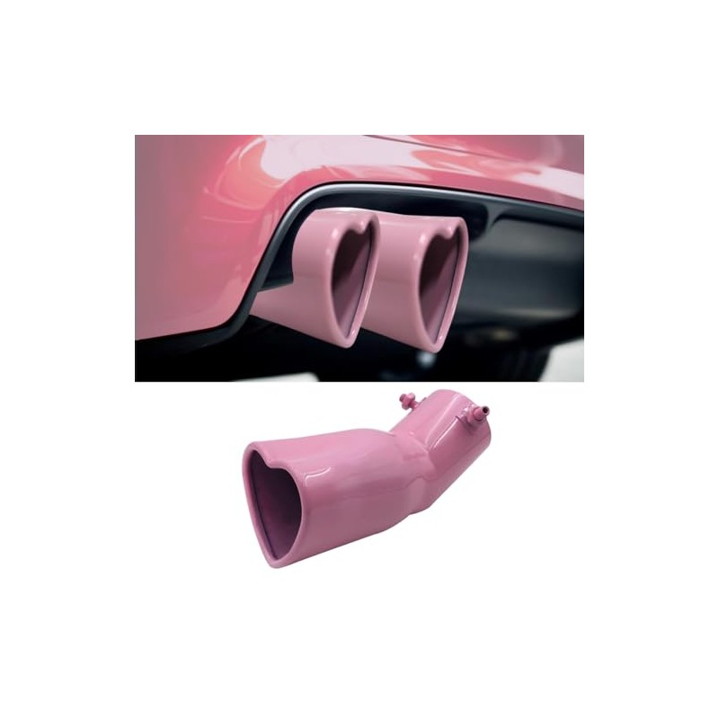 OtpOutopa Car Exhaust Tip 2.5 inch Inlet, Universal Car Exhaust