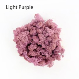 Amoueterno Preserved Moss 4 Color Reindeer Moss,Total 14OZ Each Color 3.5OZ, Natural Real Green Moss DIY Kit Moss Crafts Art Wall Decor Florist Decor Dark Purple/Purple/Pink/Blue Purple