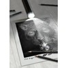Faber-Castell 3 unidades Pitt Graphite Matte Tin - 10B, 12B,