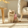 2 Pcs Cat Toys, Cat Interactive Toys for Indoor Cats,