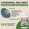 Ciaceae Coenzima Q10 Liposomal Salud Cardiaca Ubiquinol 800 Mg 60cap