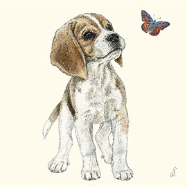 20 Napkins Small Curious Dog Table Decoration Decoupage Decoupage 33 x 33 cm