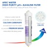 APEC Water Systems PHPLUSKIT-38 10" US MADE Alkaline High Purity