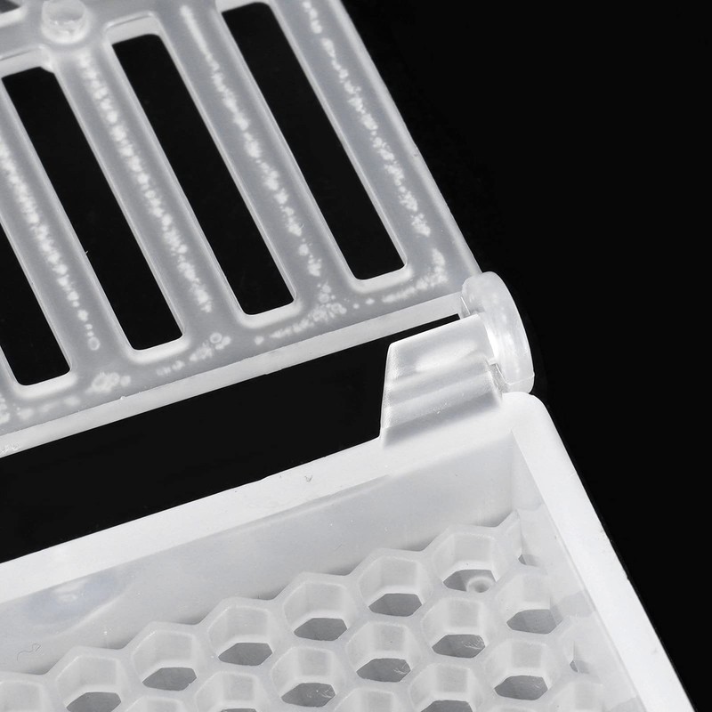 Gatuxe Queen Bee Cage, Plastic Queen Bee Movable Cage for