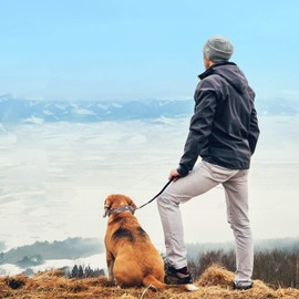 Aheasoun Prong Collars for Dogs, No Pull Dog Collar, Dog Training Collar for Large Medium Small Dogs, Stainless Steel Adjustable with Comfort Rubber Tips (Large, 4.0mm, 23.6-Inch)