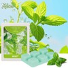 SCENTORINI Wax Melts, Mint Fragrance Wax Cubes, 4-Pack, Long-Lasting Scented
