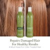 Loma Hair Care Nourishing Shampoo Nourishing Conditioner Duo, 12 oz.