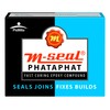 Pidilite M-SEAL PHATAPHAT FAST CURING EPOXY COMPOUND 25g