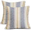 Aytipun Blue Yellow Pillow Covers 20x20 Set of 2 Gray