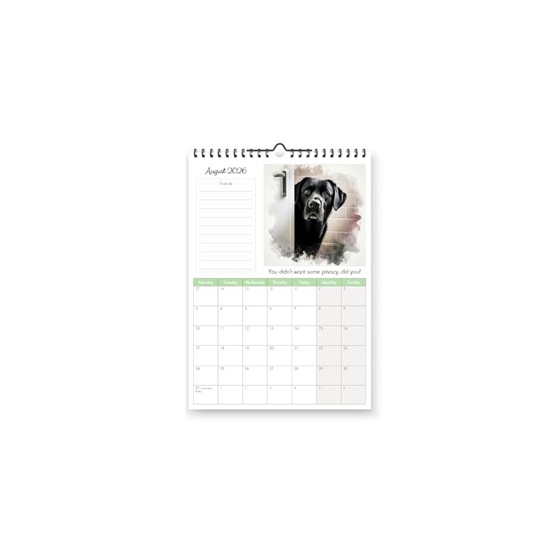 Black Labradors 2026 Yearly Wall Hanging Calendar - Splash Effect