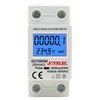 JOYELEC LCD Digital 220 V Electricity Meter, DIN Rail KWh