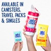 WET ONES Antibacterial Hand Wipes, Fresh Scent 20 ea (Pack