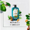 Herbal Essences Champú 865 Ml Shampoo
