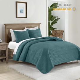 HORIMOTE HOME Quilt Queen Size Teal Blue, Lightweight Quilt for Summer Ultra-Soft Microfiber Modern Style Quilted Clouds Pattern Bedspread Quit Set 3 Pieces(1 Quilt and 2 Pillow Shams)