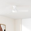 Amico Ceiling Fans with Lights, 42 inch Low Profile Ceiling