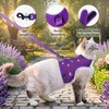 Yizhi Miaow Cat Harness and Leash for Walking Escape Proof