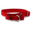 PetSafe Martingale Collar 1" Medium, Red