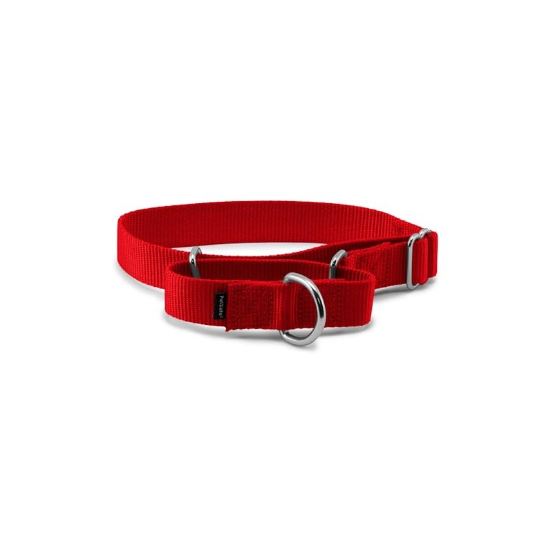 PetSafe Martingale Collar 1" Medium, Red