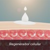 Crema Hidratante Líquida Corporal de Pera Dulce Uso Diario 10