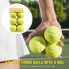 12 Packs Pressure Matching and Training Tennis Balls