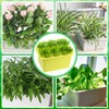 Aunifun Hydroponics Grower Kit Hydroponic SystemSelf Watering Indoor Hydroponics Tools