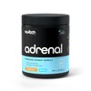 Switch Nutrition Adrenal Switch Strawberry Pineapple Magnesium Support Formula 300