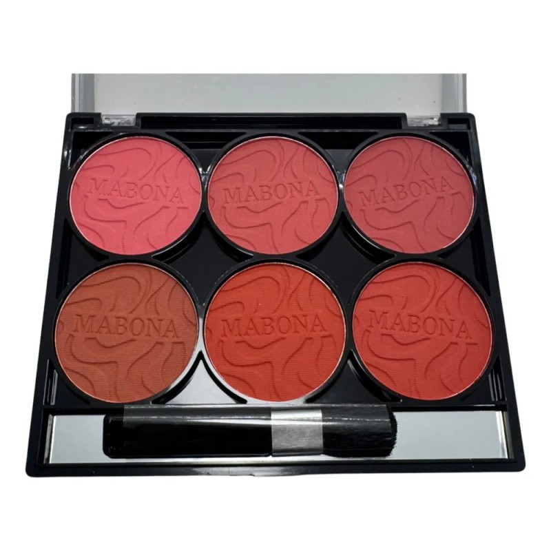 Paleta De Rubor Con Varios Tonos Matte Polvo Rubor Bluser