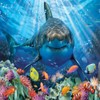 Grandi Giochi PUW00000 squalo Bianco Discovery White Shark Horizontal Lens