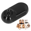Pet Collar Camera High Definition Portable Dog Tracker Collar Camera