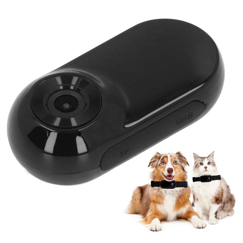Pet Collar Camera High Definition Portable Dog Tracker Collar Camera