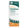 Genestra Brands Genestra Brands - Hawthorn Young Shoot - Herbal