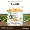 Belmont Peanuts Gourmet Sea-Salted Virginia Peanuts, 25 oz (1 Pack)